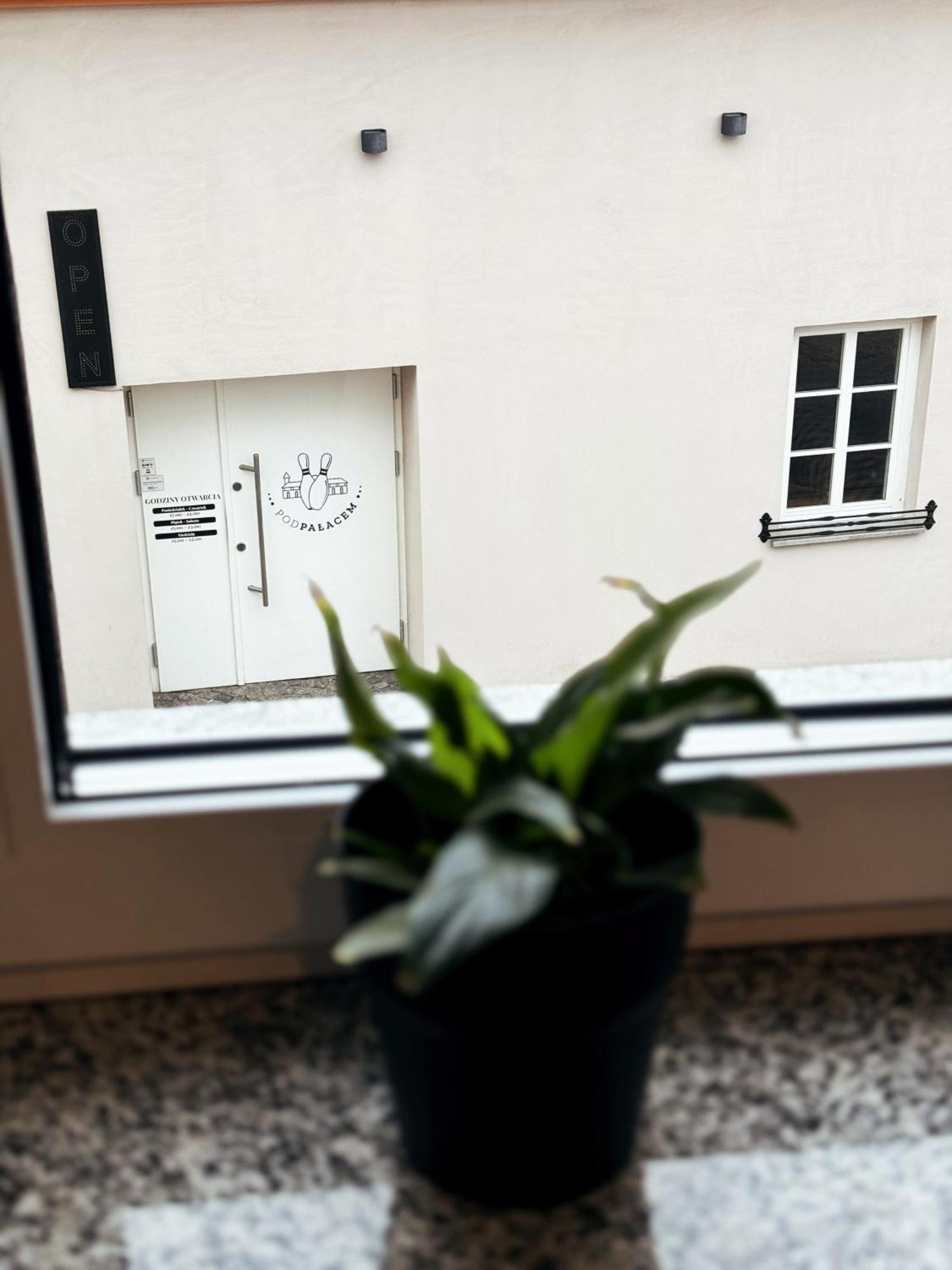 Pokoje Pod Palacem Koszecin Номер фото