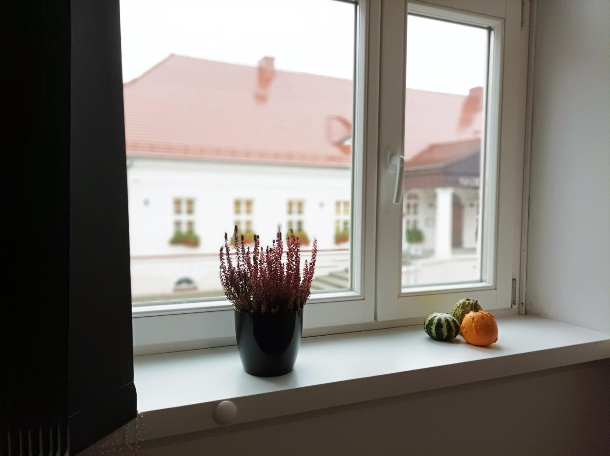 Pokoje Pod Palacem Koszecin Экстерьер фото